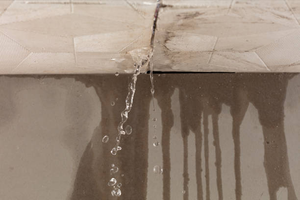 Professional Structural Drying technician working in Uneeda, WV